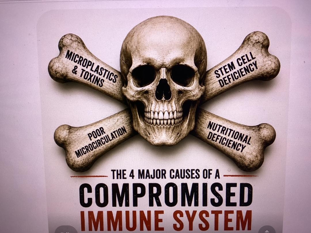The 4 Major Causes of a Compromised Immune System: Microplastics & Toxins, Stem Cell Deficiency, Poor Microcirculation, Nutritional Deficiency