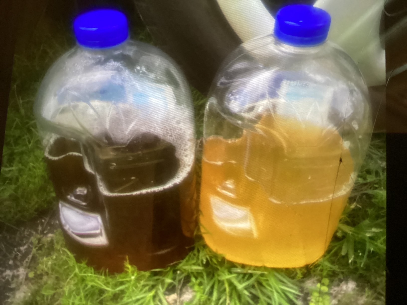 Two bottles showing dark brown and amber-colored collected liquid before and after nutritional support