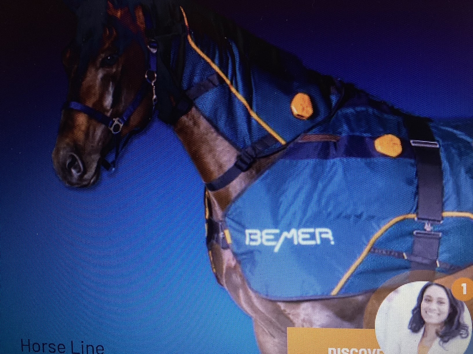 Horse wearing BEMER Horse Line blanket for PEMF therapy