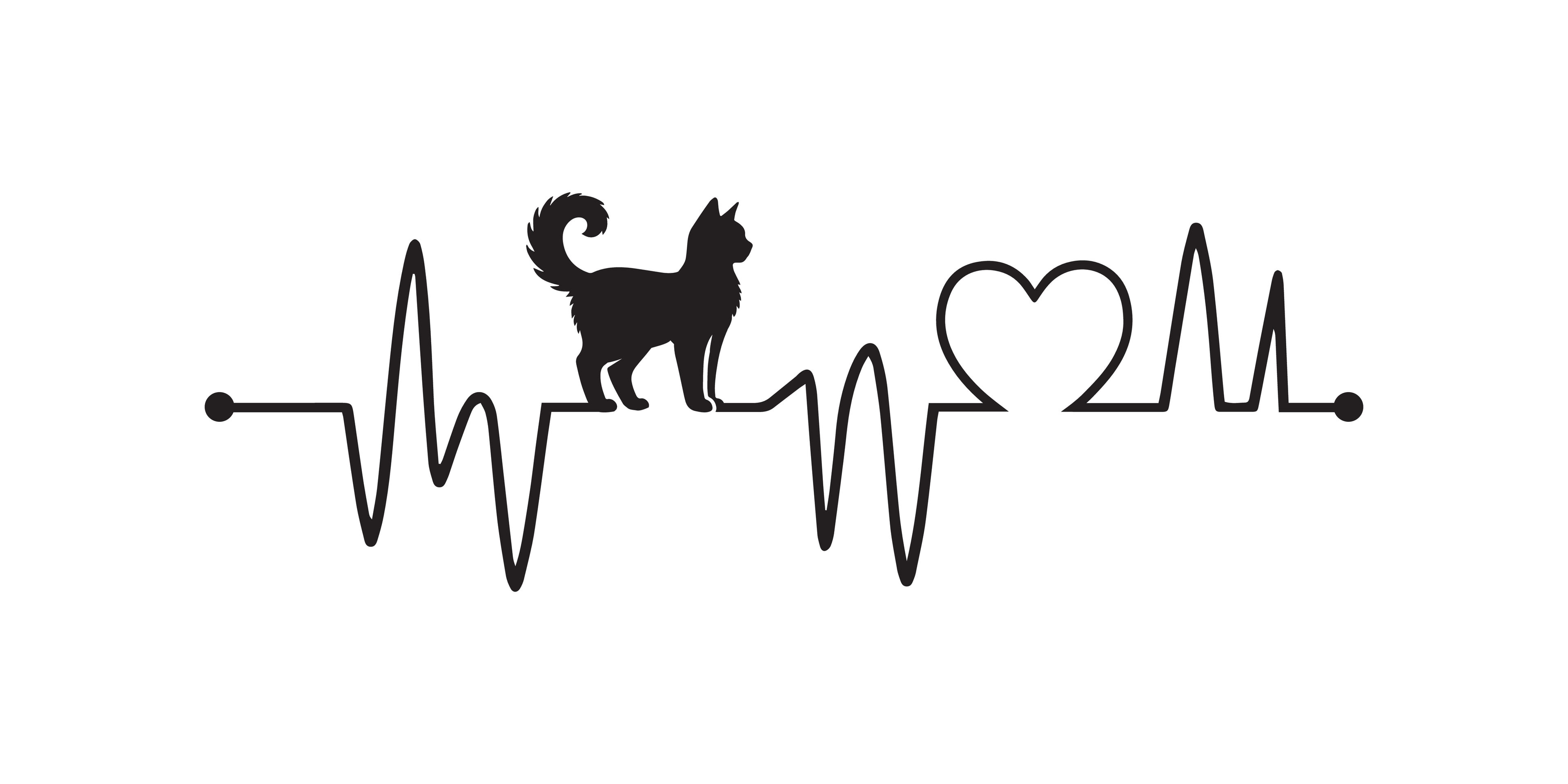 Cat heartbeat line graphic with heart symbol