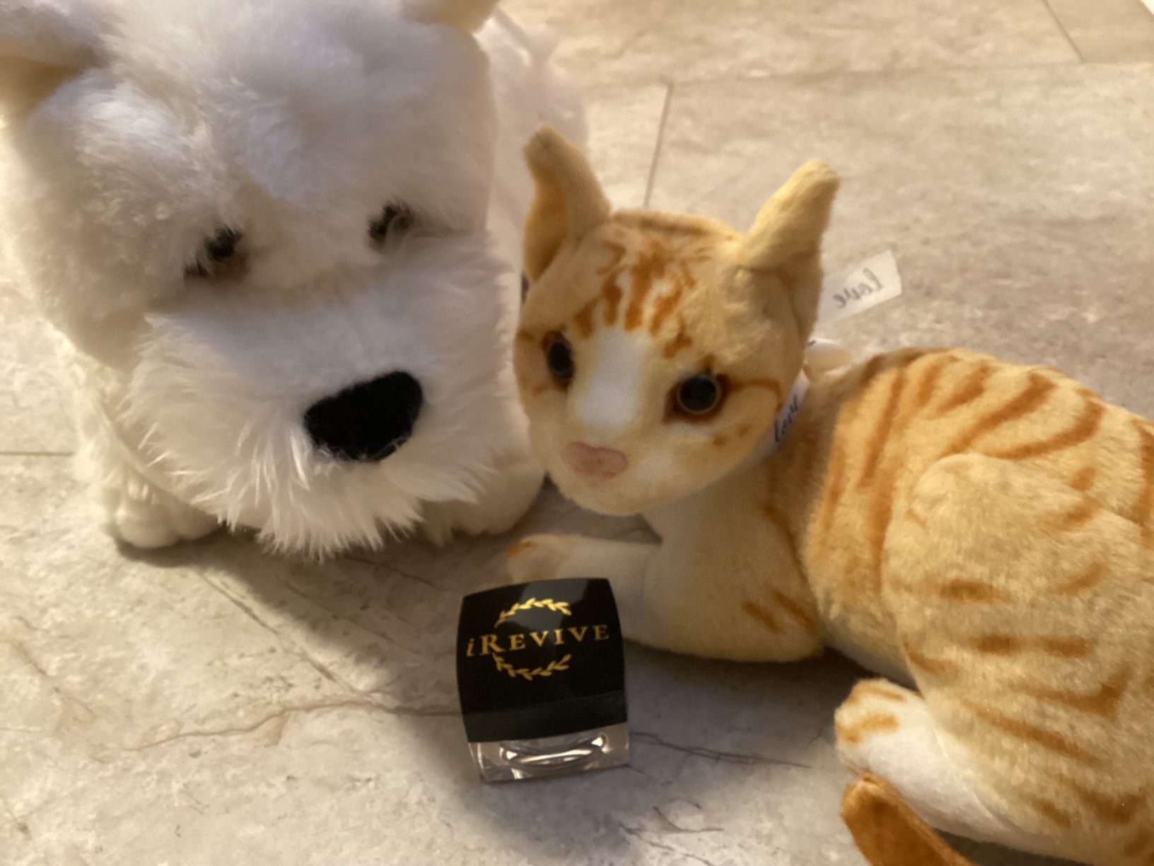 iRevive Skin Cream for Pets — bowl, bottle and packaging